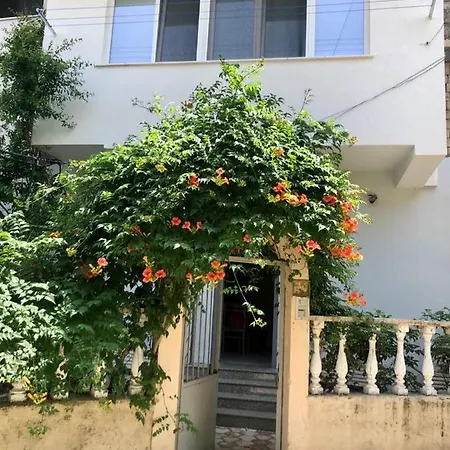 Mjolly 公寓 地拉那