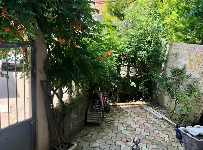 Mjolly Tirana