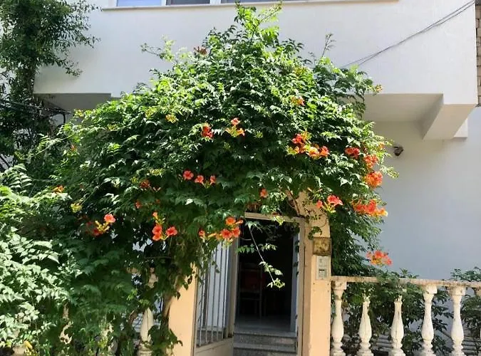 Mjolly Apartmán Tirana